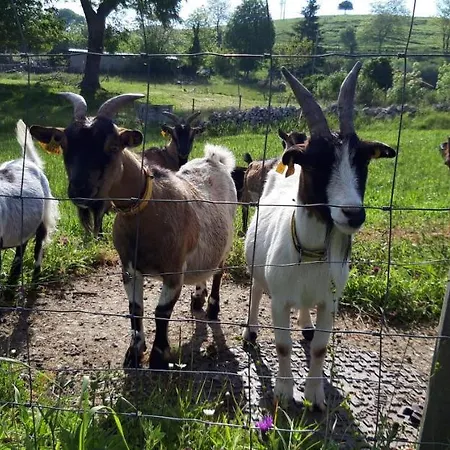 El Mirador De La Hayuela, A 7 Min De 柯米拉斯