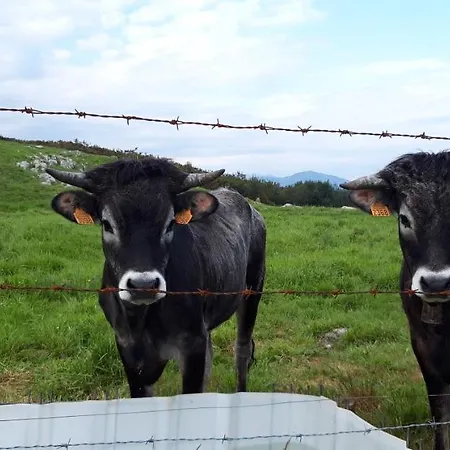 El Mirador De La Hayuela, A 7 Min De Apartment *
