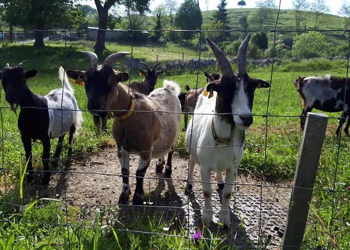El Mirador De La Hayuela, A 7 Min De Comillas