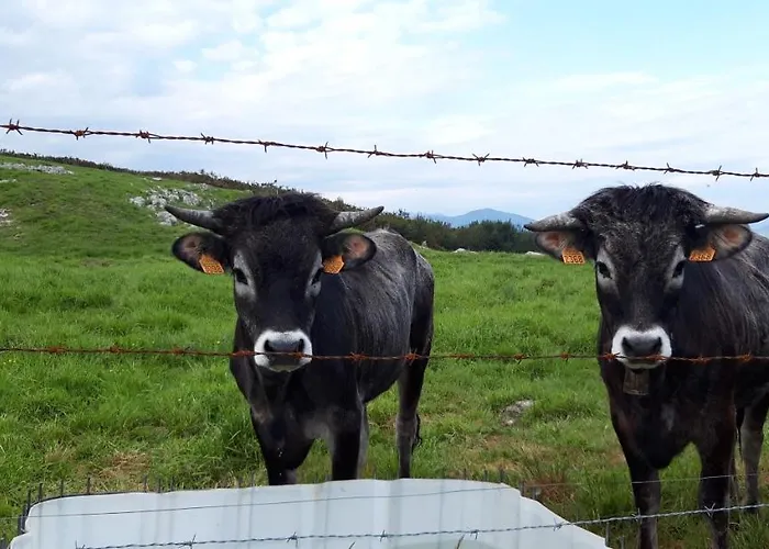 El Mirador De La Hayuela, A 7 Min De דירה *